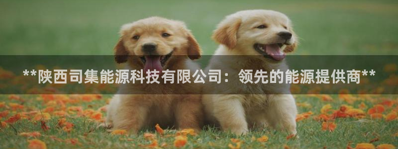申博官方网址