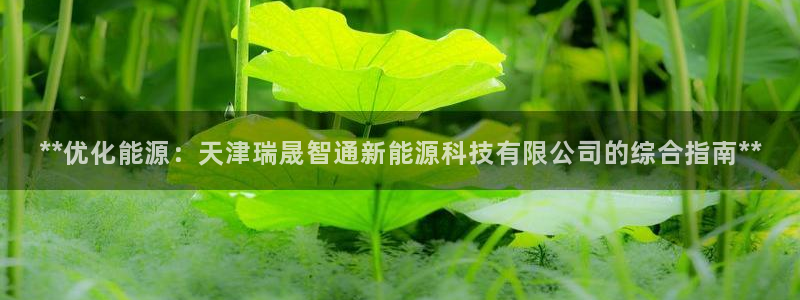 申博官网手机版下载app