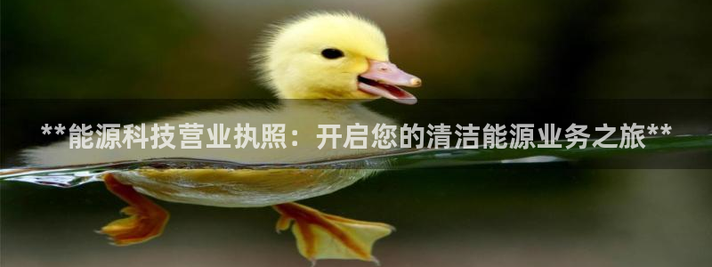 sunbet申搏官网