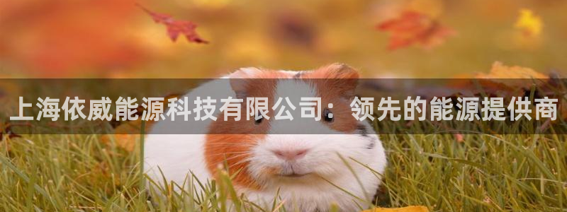 申博官网手机版下载app