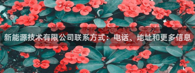 申慱sunbet网站