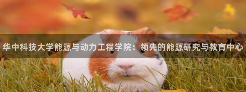 sunbet首页登录入口
