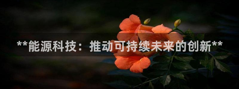 sunbet手机版官网下载