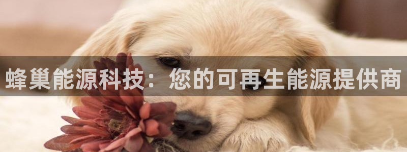 sunbet游戏官网