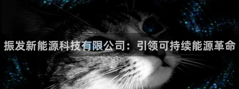 申博手机版app下载