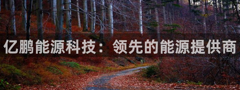 申博官方网站