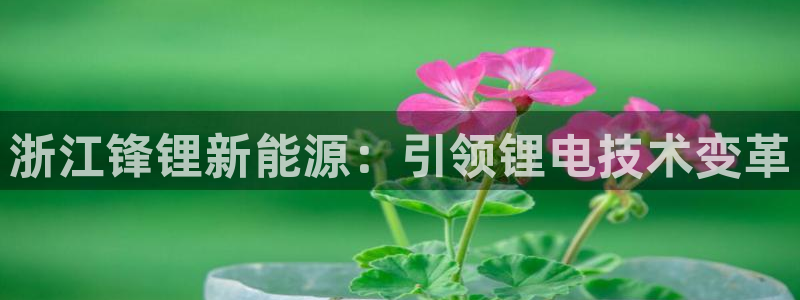 sunbet最新消息