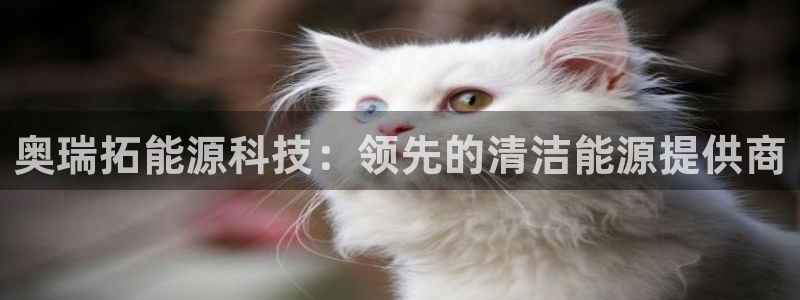 sunbet申搏app下载