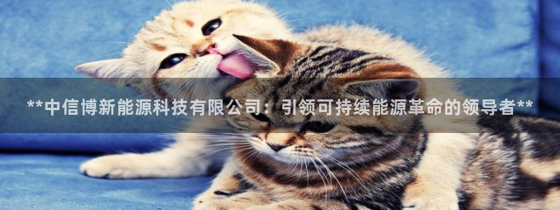 下载申搏sunbet并安装app
