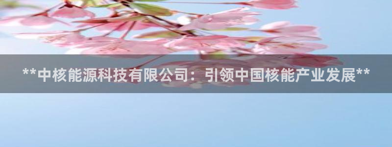 sunbet申搏官网