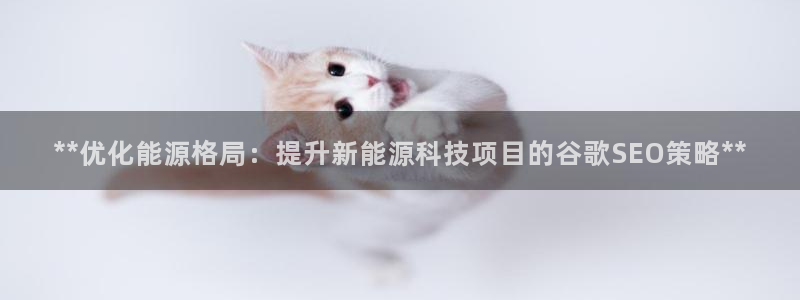 申博手机版app下载