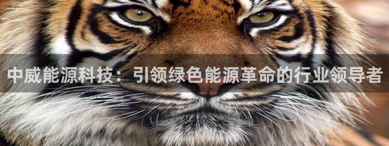 申慱sunbet版app