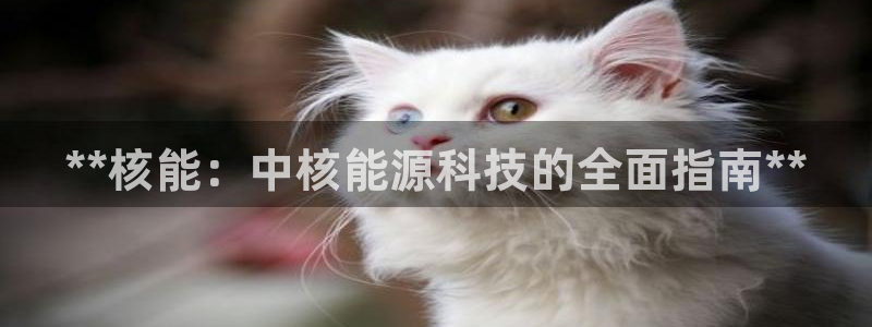 sunbet苹果app