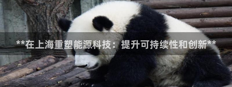 sunbet苹果官网下载