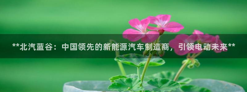 sunbething怎么读