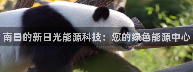 sunbet游戏最新版
