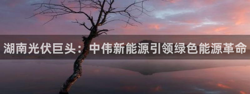 申慱sunbet手机版登