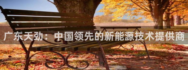 sunbet首页登录入口