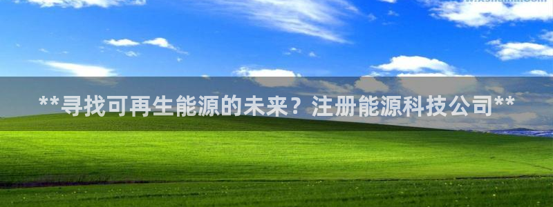 sunbet英语翻译