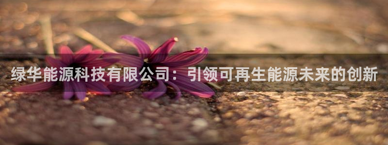 sunbet最新登陆