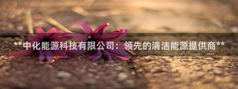 sunbet申搏官方网站