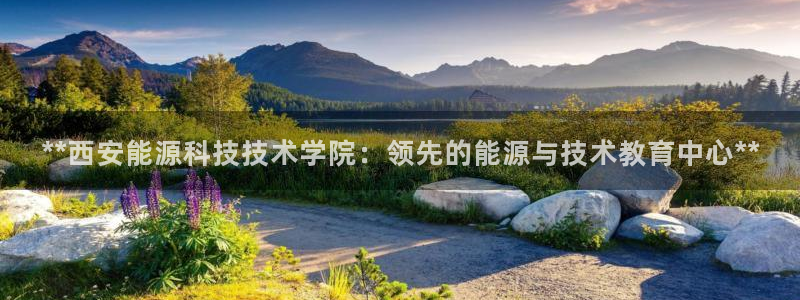 sunbet手机网页版