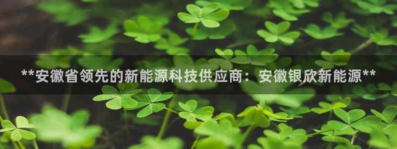 sunbet源码