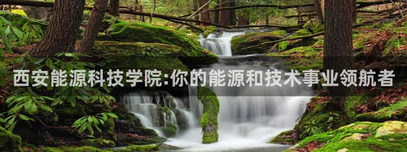 sunbet申搏官网