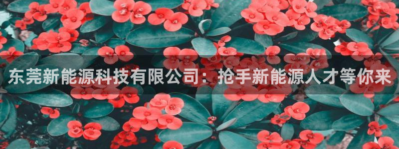 申慱sunbet手机版登