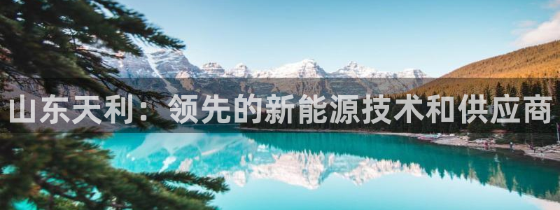 申博官网电脑版下载