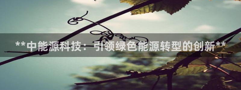 sunbet最新消息