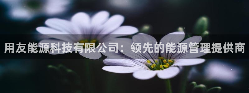 sunbet官网welcome