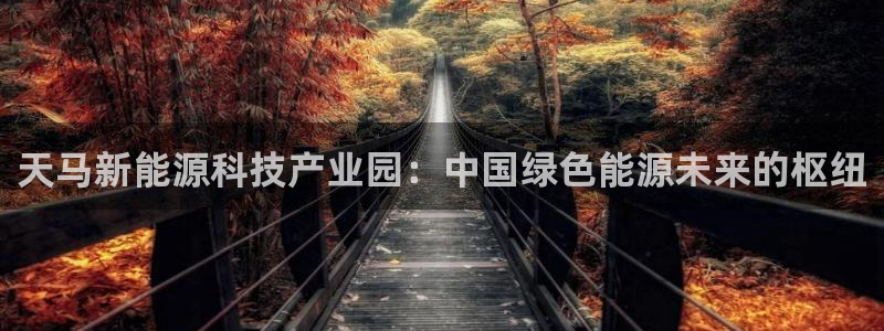 sunbet中国官网