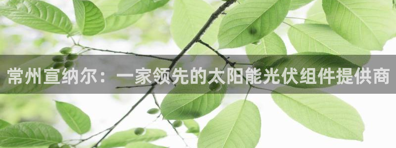sunbet靠谱吗
