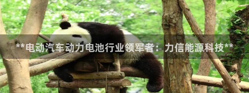 sunbething怎么读