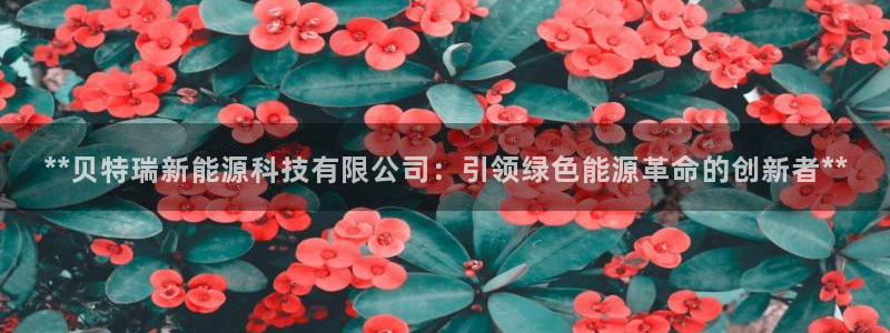 sunbet申搏地址