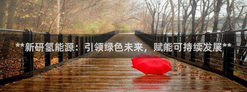 sunbet程序