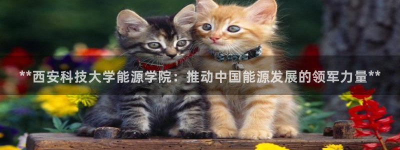 申博官网手机客户端