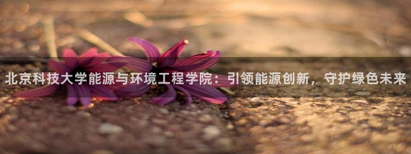 sunbet游戏网