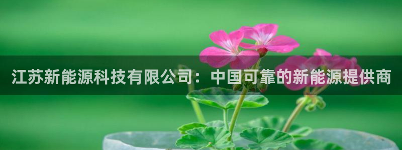 申博视讯
