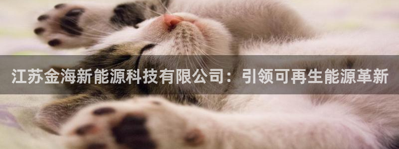 sunbet安卓下载