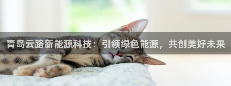 sunbet游戏官网
