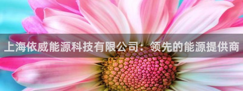 sunbet官网代理下载