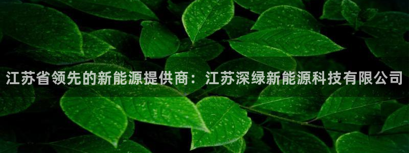 sunbet手机版官网下载