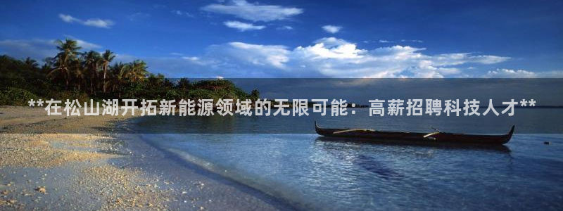 sunbet官网手机版登录