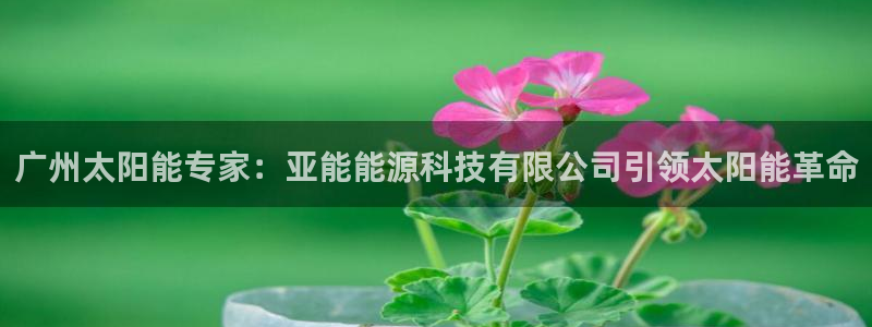sunbet程序