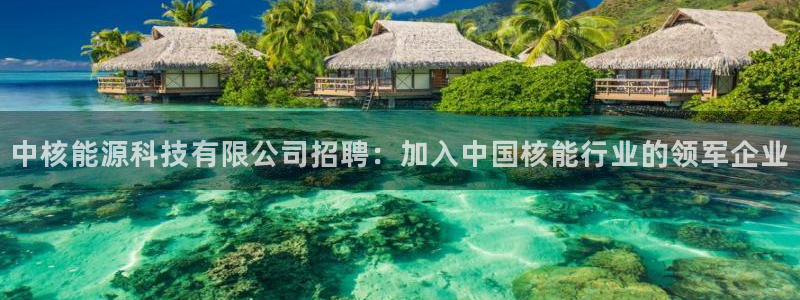 sunbet燃气灶