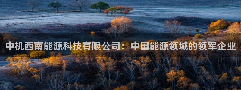 申博官方网址