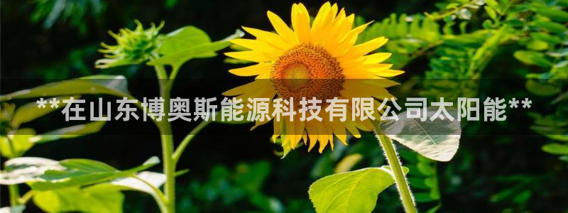 申博手机网址