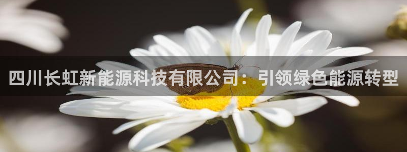 申博官网手机客户端